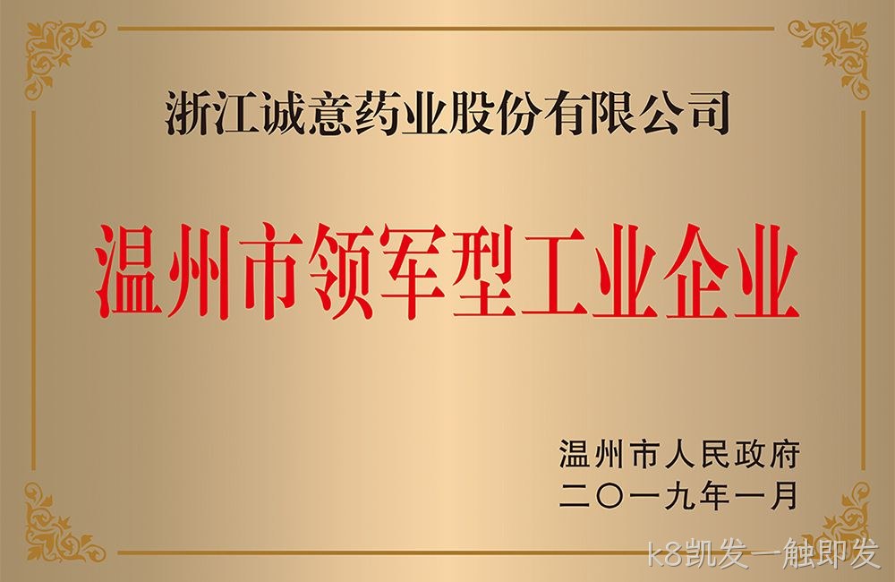 温州市领军型工业企业
