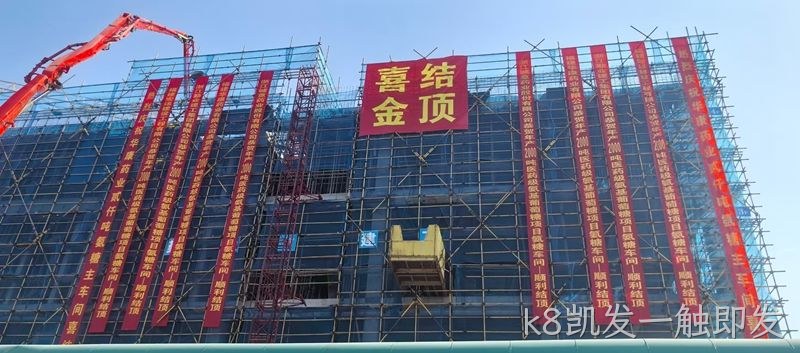微信图片_20251127090426_291_10 微信图片_20251127090426_291_10